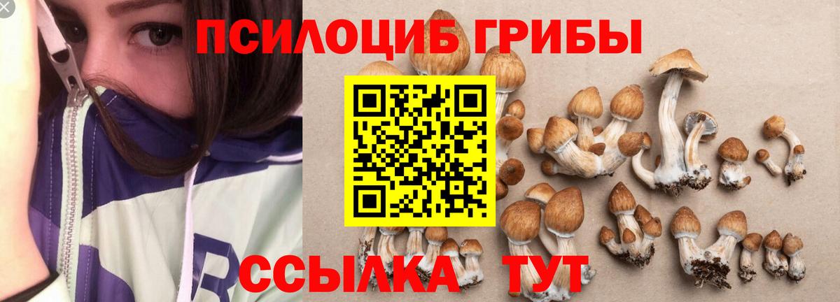 Среднеуральск  Псилоцибиновые грибы MAGIC MUSHROOMS  Вход с VPN  Галлюциногенные грибы ЛСД 